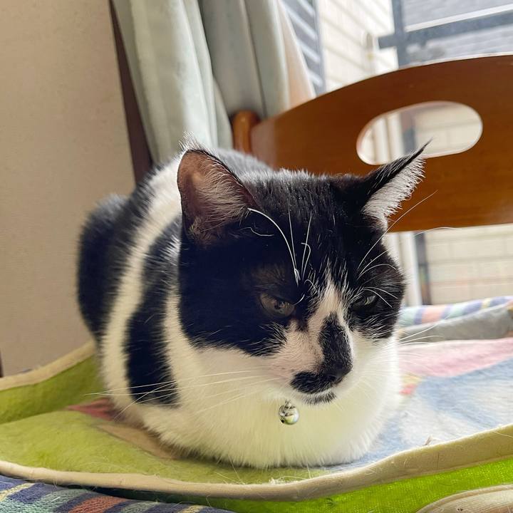 6136f727 e8c7 4232 9a8f d3cd50630a11 1771541518880