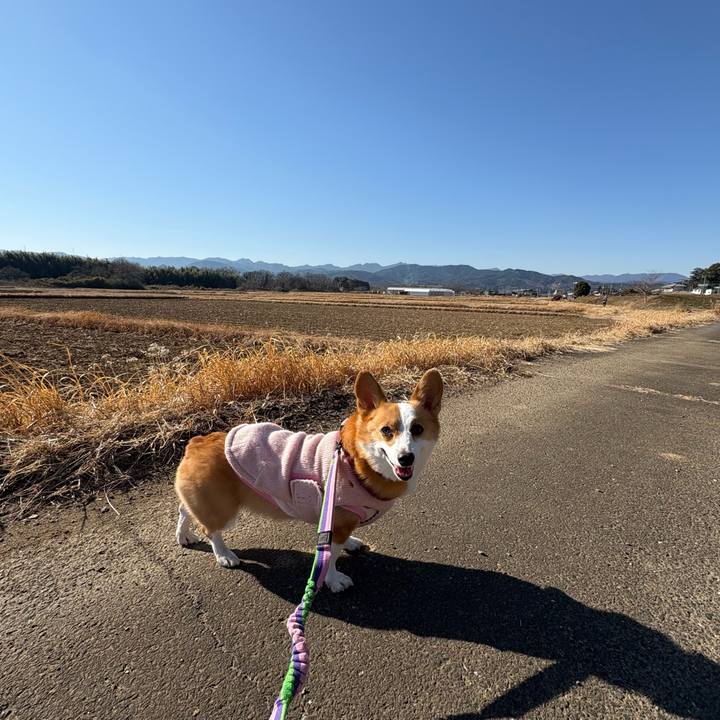 6136f985 6d76 4063 b256 b28cd5df7347 1768025222905