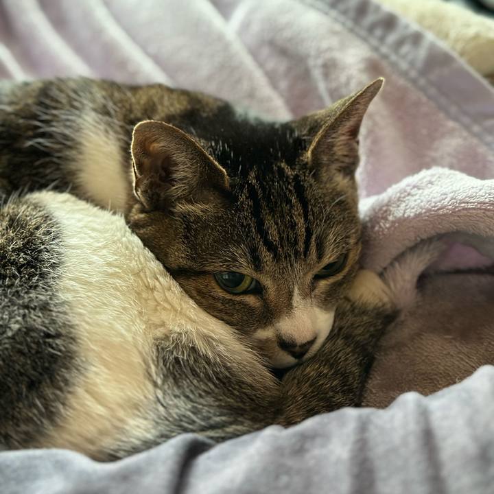 61371a49 8f16 4822 a250 38638c2a46fb 1679875727997