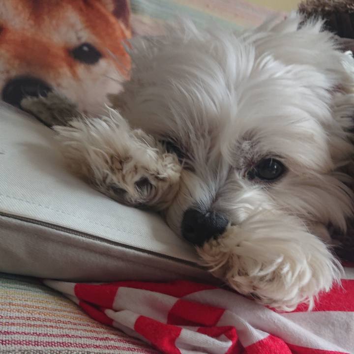 61374756 143c 4a1f 8ebc 67eacada8444 1587131970460