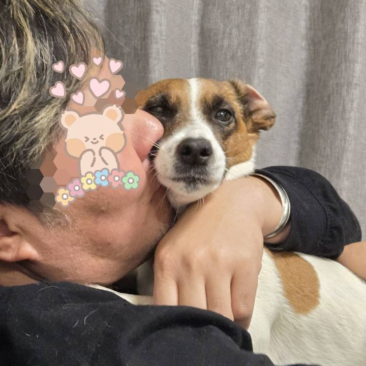 6137730c 2a90 4706 a97b a5936251373d 1770025346069