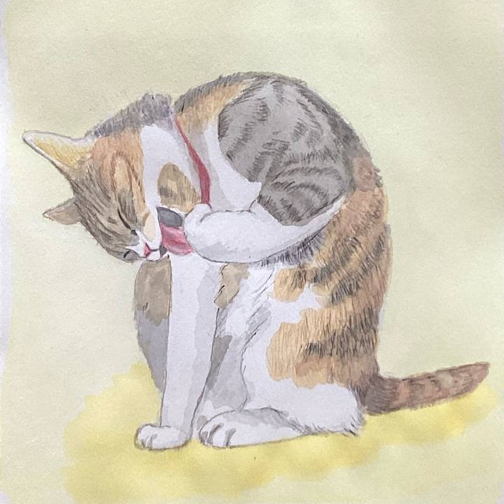 6137f6f8 cc5e 4e76 add6 363b0feee927 1679397763378