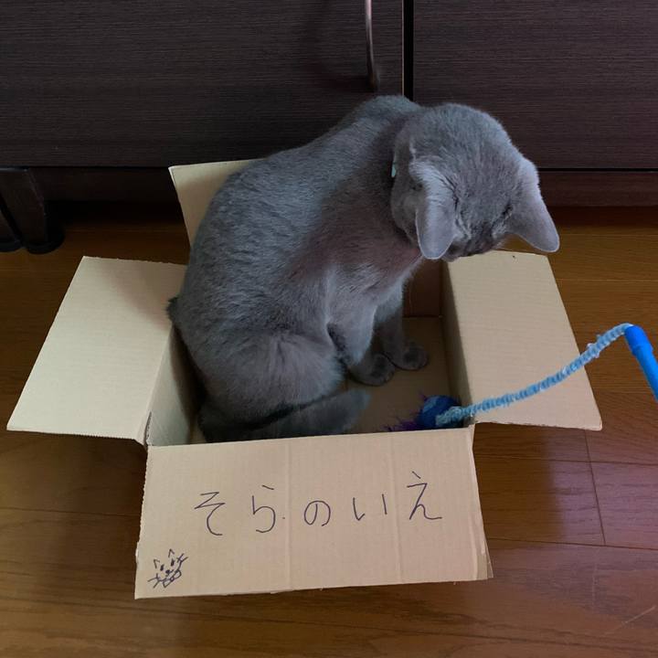 61382831 1027 4c89 b33c 30374434d151 1634077216509