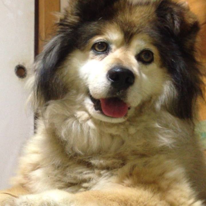 61385ffd 6749 4988 ac8d 78a86f4f25b6 1549495145177