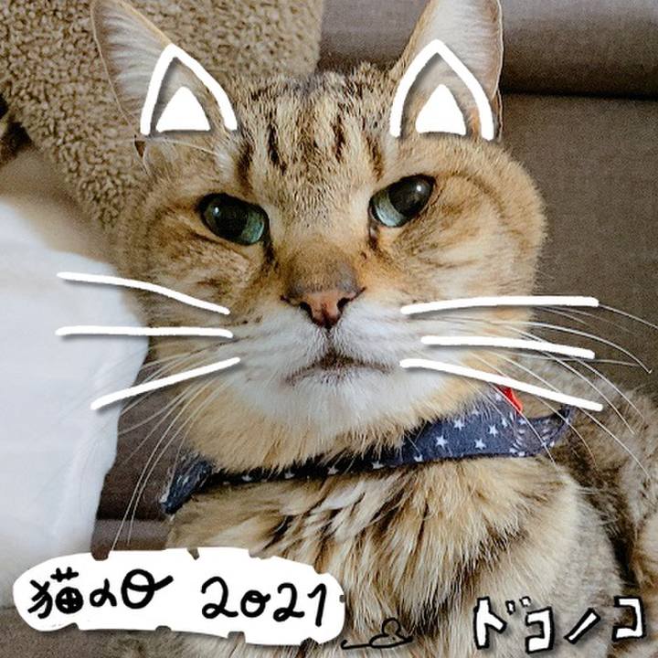 61386500 2fcc 4183 9f76 1db72fd038a2 1613980825009