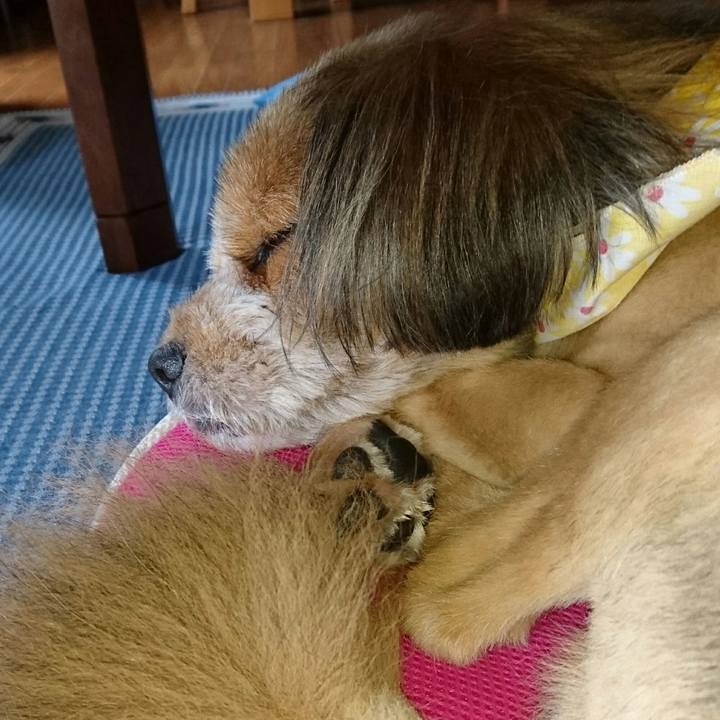 61386d0a d4a1 4a22 83b4 5332ac6203f5 1537850625243