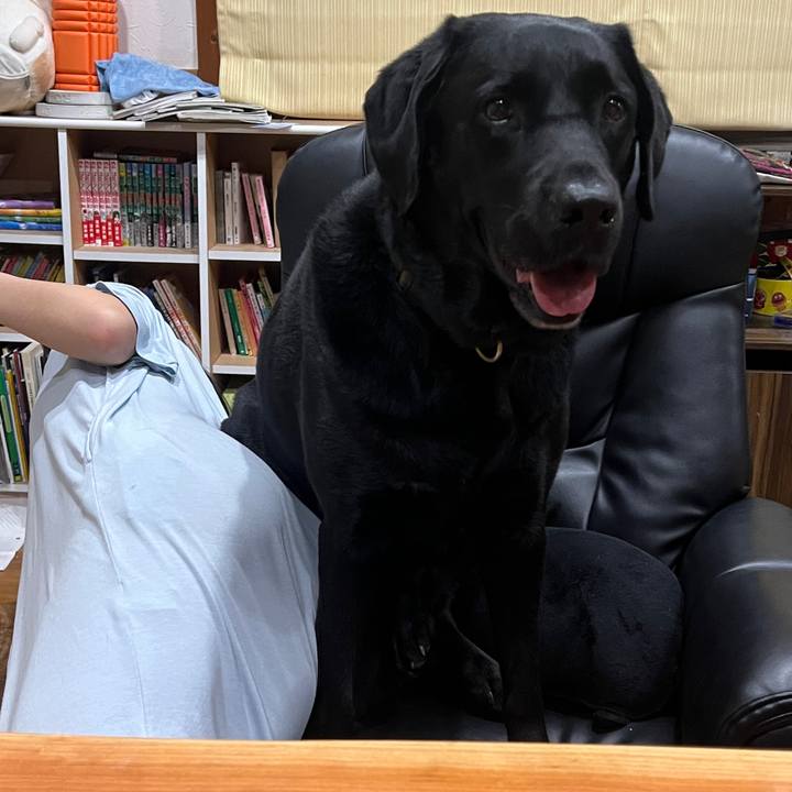 61386daf f463 4a55 b71a dae066b98ac9 1760247216511