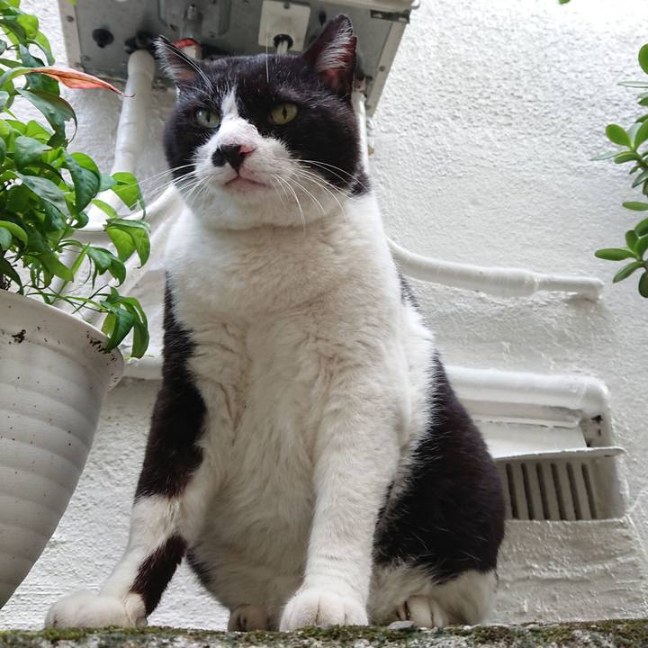 6138b0f3 e969 4574 93b7 4b14b86d119e 1628582385673