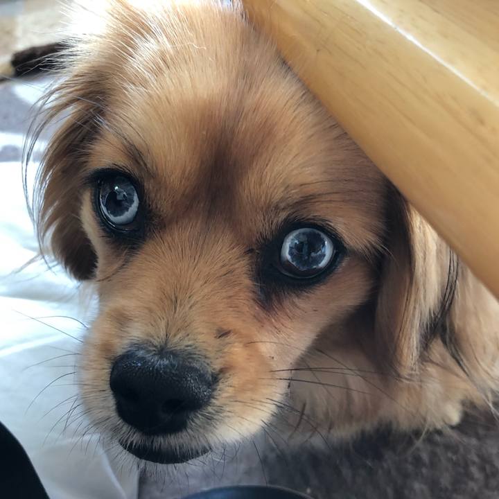 6138b3ff 6968 496d 9bbf 75f5ffd64b03 1553989728267