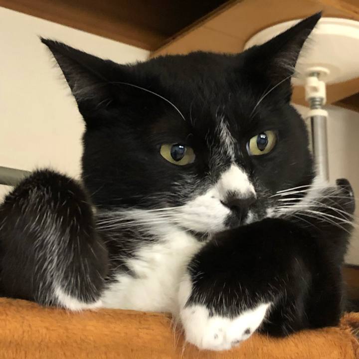 6138e4c1 2503 4203 b60d baa5fc5cdb70 1602905406668