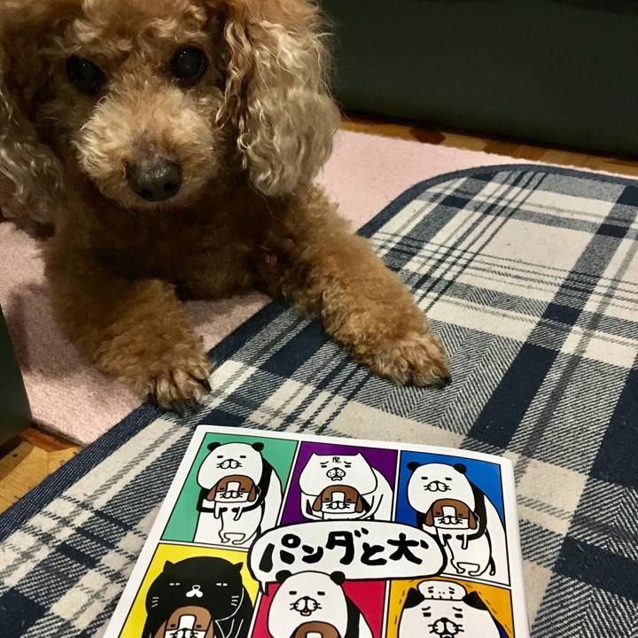 6138e4c6 1dd4 454b 9295 d40206453dc7 1555938625245