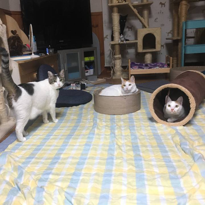 61390636 401d 4368 b36d 18c4ff261241 1532958251615