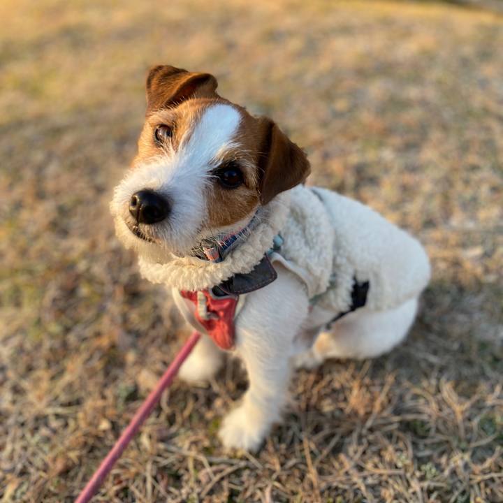 6139110e 8008 4af8 923c e616f07c5d72 1767269316555