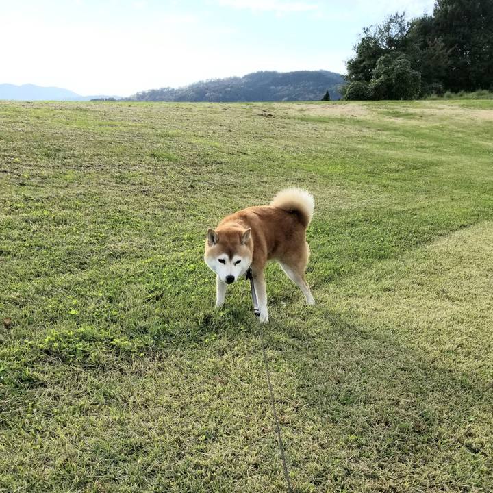 61391c98 a618 4498 a4e8 4a9c71b6d89f 1603777820479