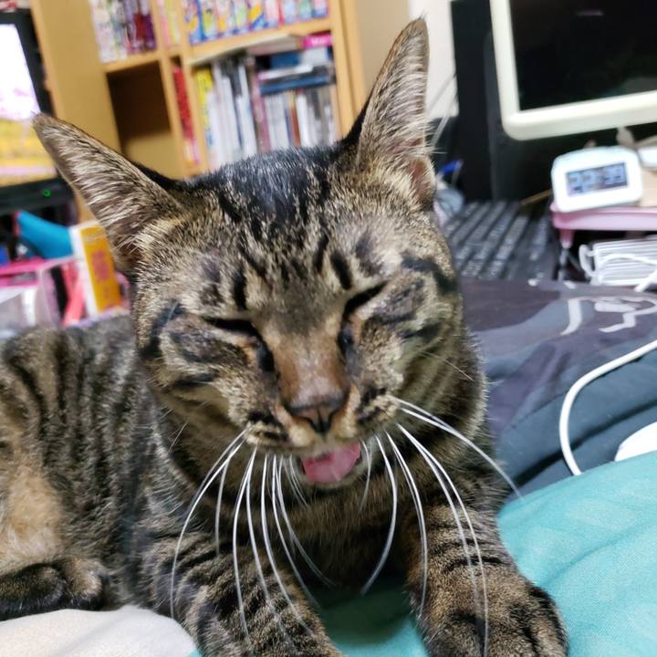 61396127 6620 4090 9375 c2c4f93bcb84 1567953735128