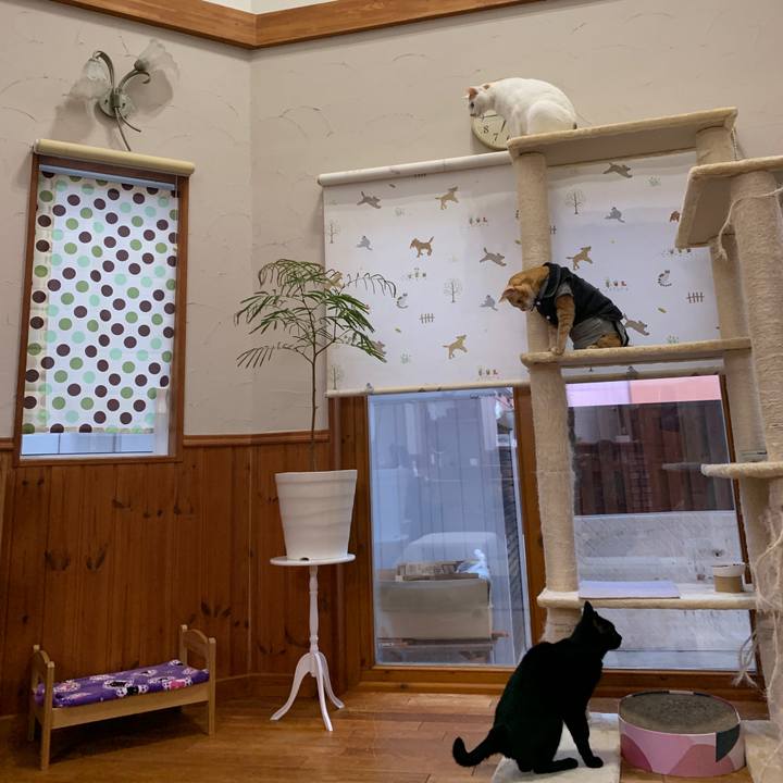 61399a6a 3eed 49b0 a86d f059afe7a557 1652348786131