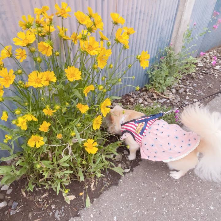 61399cc0 9d83 4436 b307 078bfb7f3e8b 1748169718719