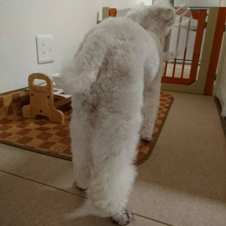 6139a071 9b11 4ce2 a811 6341cf9a29a5 1562509308957