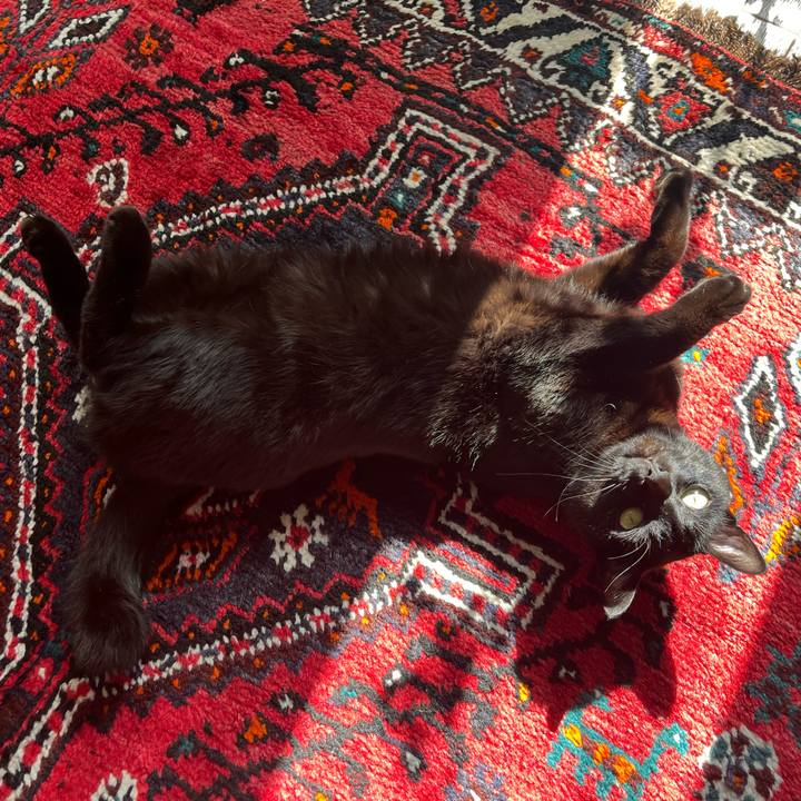 6139af7e 52fc 482a bdf7 29b679cd2ff0 1708764420485