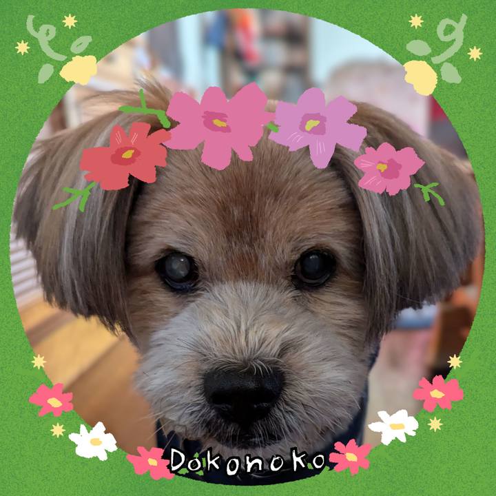 6139e3d6 33b1 44ad a192 920b2a3b981e 1726982133530