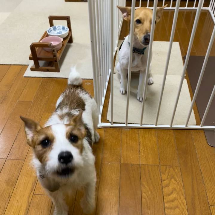 6139ff81 1691 4208 841b b1c89ad71caa 1769984447997