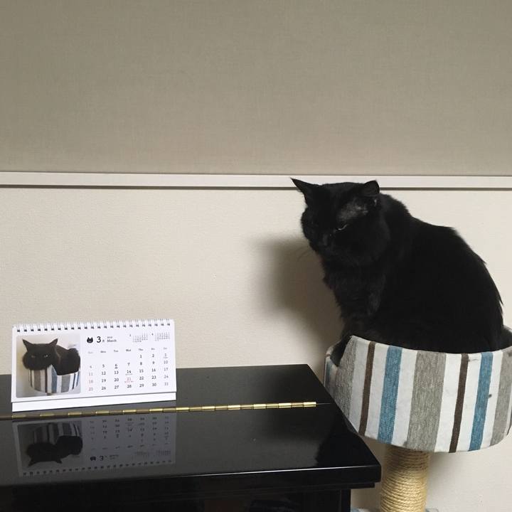 613a019f f528 41fa b16a 8952100882ce 1520499606331