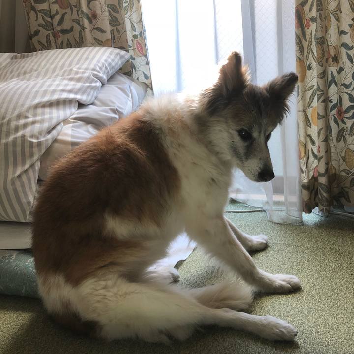 613a36ce 2bb9 4116 a1a8 2e99741b5b3a 1541210433320