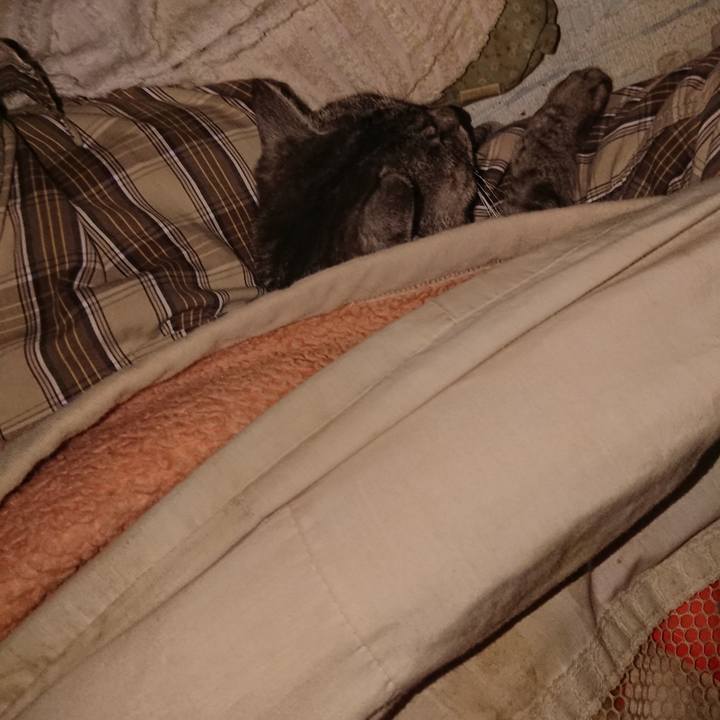 613a59d8 25b8 440f 948a 50f91805a98b 1571340801166