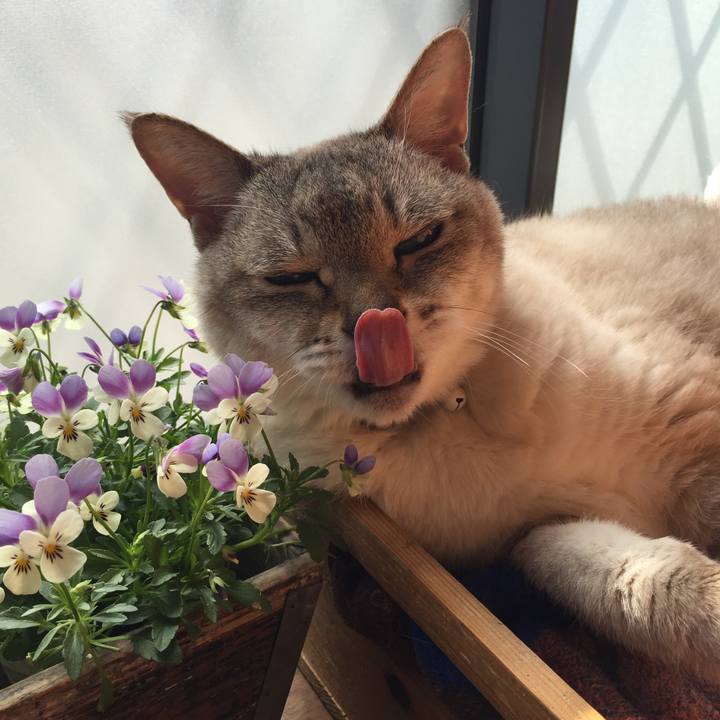 613a701e af69 4e61 9530 4c481e358272 1552016354730