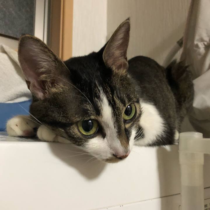 613a79d8 e67c 4c10 91f3 1786213ee024 1535892806907