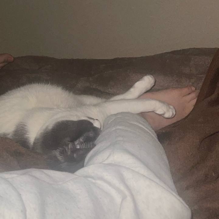 613aafa6 dbbd 49bb ad0a 17808dff7352 1713819272778