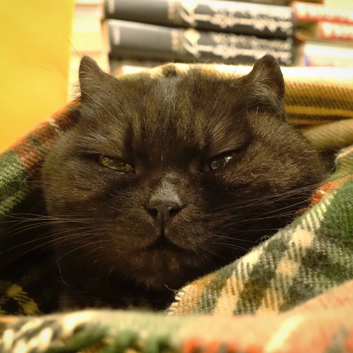 613ae2c0 99db 4de9 8956 0ee3075b0abc 1508947985299