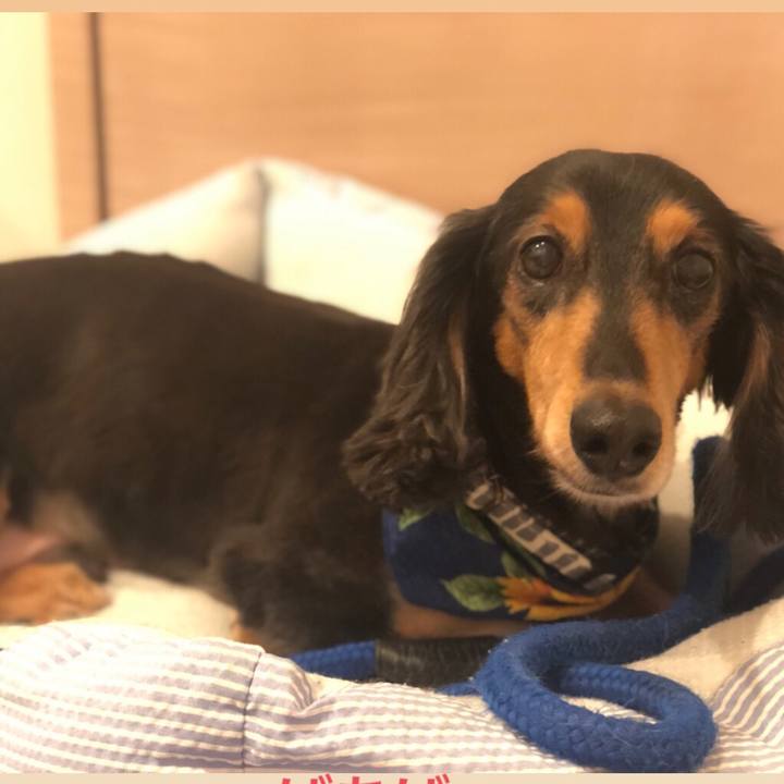 613b054b 0be5 46b6 983b c0ff6617b58e 1565260235642