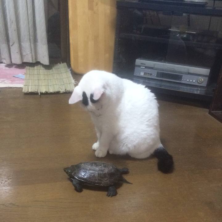 613b0f36 b458 4a14 b48c 4786e18f54ca 1566917269869