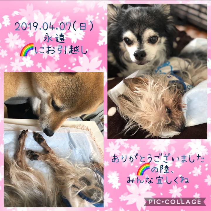 613b4e0a 8cb8 49d6 a6ca 077b4e5f58dc 1554600465937