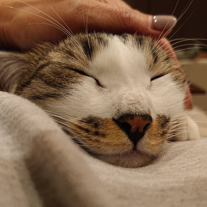 613b4fb7 f279 4ba1 b61d e2cfc1420928 1605020073534