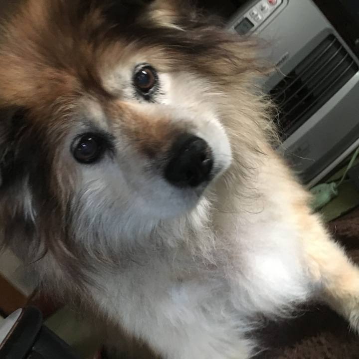 613b59d8 d1be 482e aefd 1b34fcb78666 1601084695262