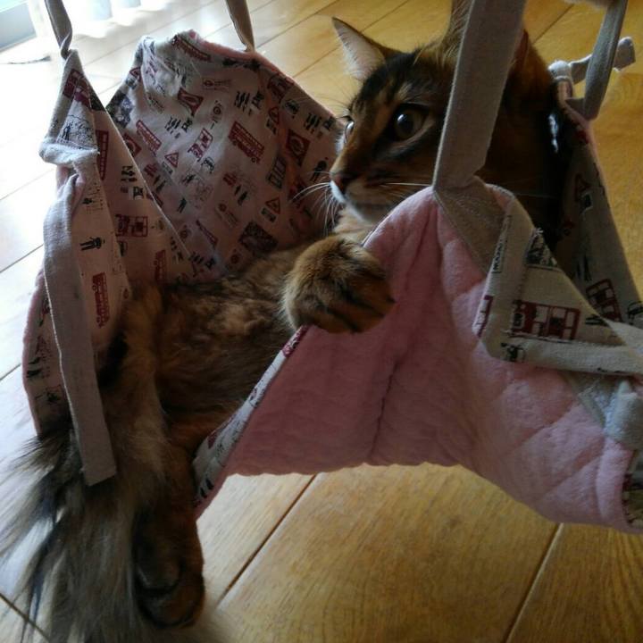 613b8f84 5c09 4f10 95d2 e4df31b393f6 1565426187327