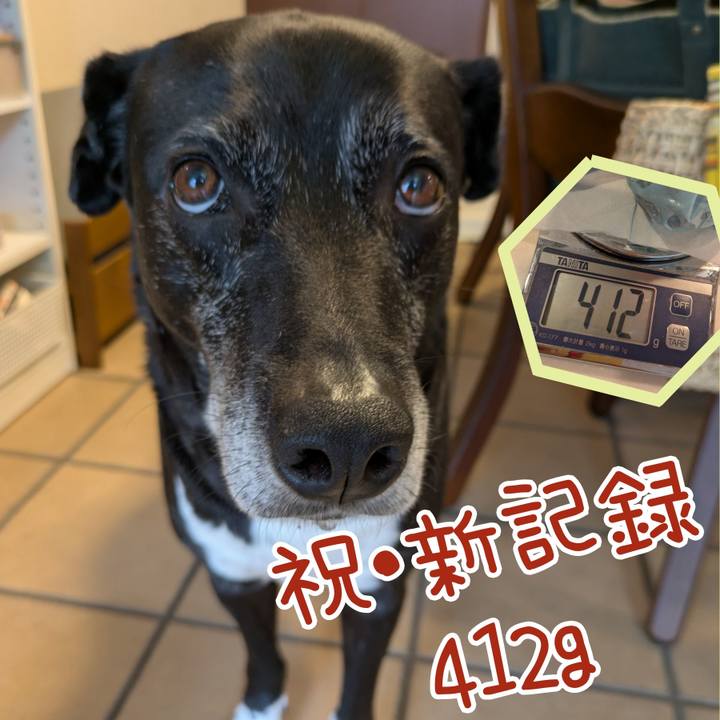 613b9ed8 2518 4171 b0b1 2fc9578a9dc6 1745626677335