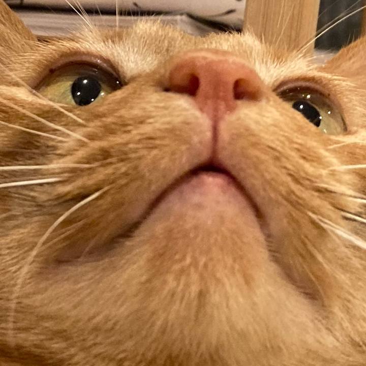 613ba678 e981 4bda afa1 0f99f72d72d5 1617702706563