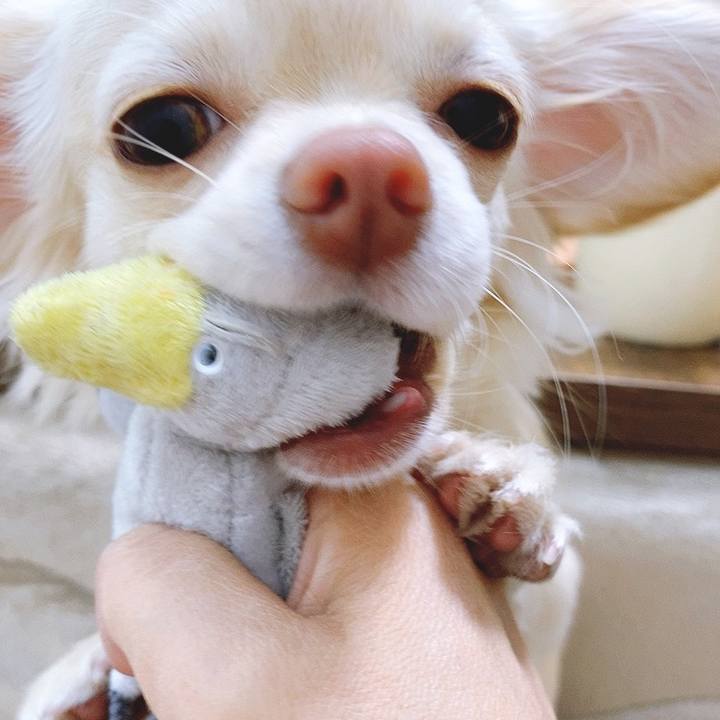 613bceae 1a2e 42ce a537 ff0ee3b52979 1609905013042