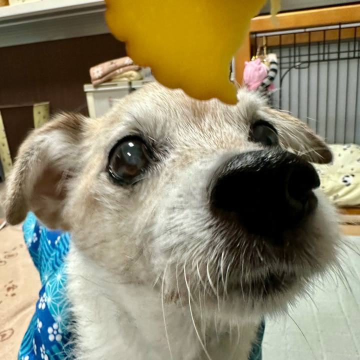 613c164c ac75 432a 8d87 96da93012ade 1767346208205