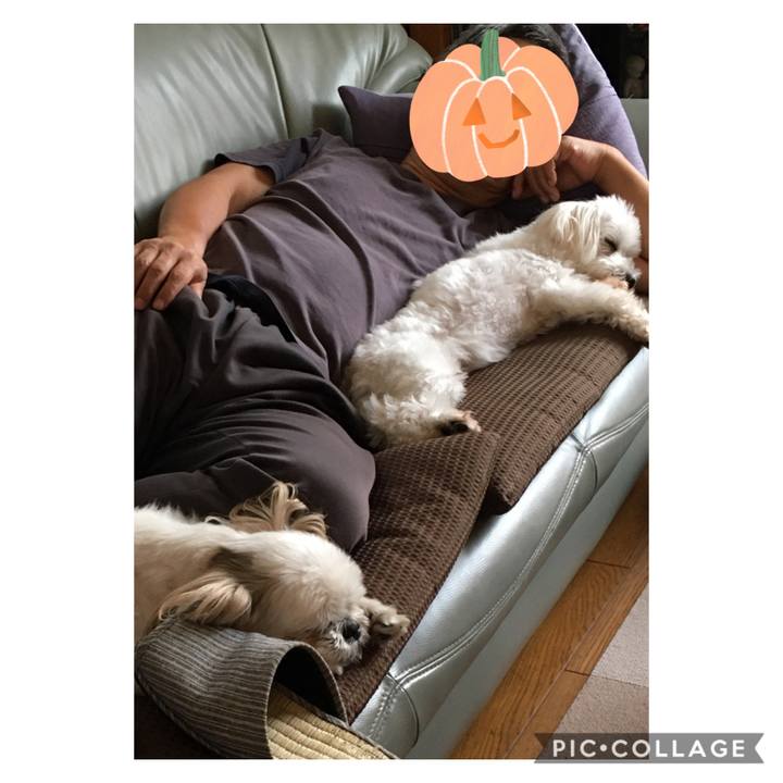 613c3673 27cb 4594 84f1 ff2c4561cbf6 1598163514017