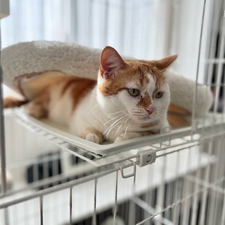 613c5776 f4fa 4bb2 b5a7 bcedfc0dfbe3 1776311050152