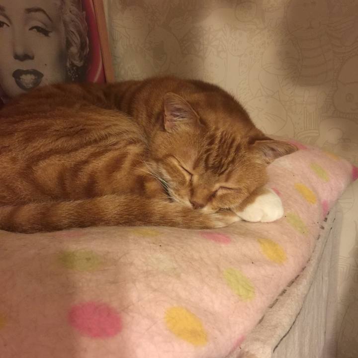 613c6c8a af0a 438b 881f 2a21a709c180 1560256279803