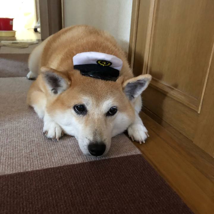 613c72ea 3c8b 41df b6a5 13f670823f08 1567333108712