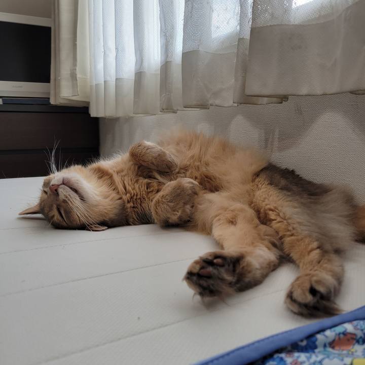 613c9ed3 85d3 41cf 8d10 7638de47256e 1658295465424