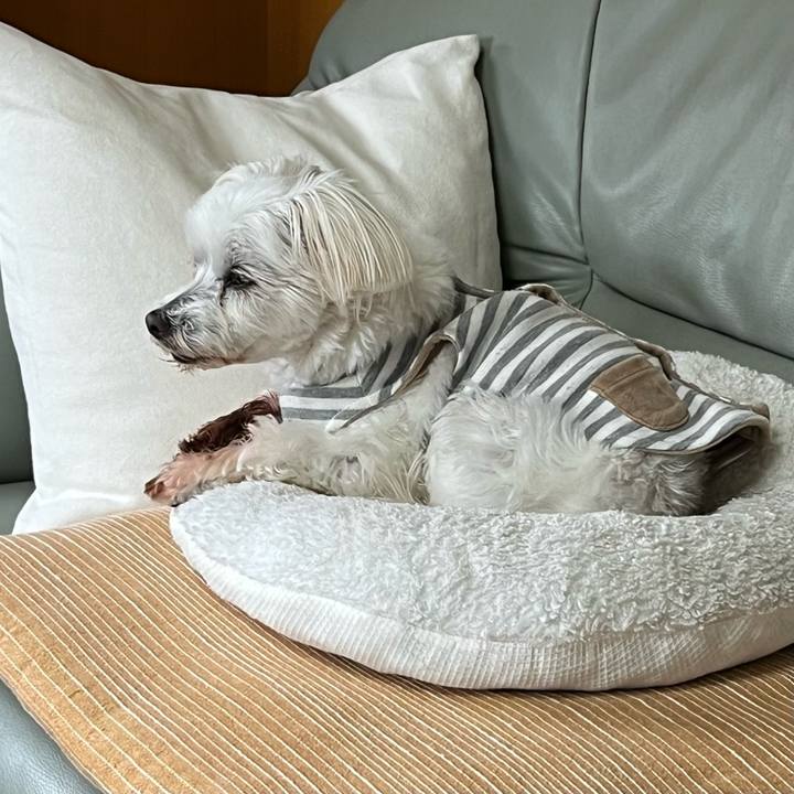 613caafc a894 444b aac6 b3c483bdbc3a 1704248286811