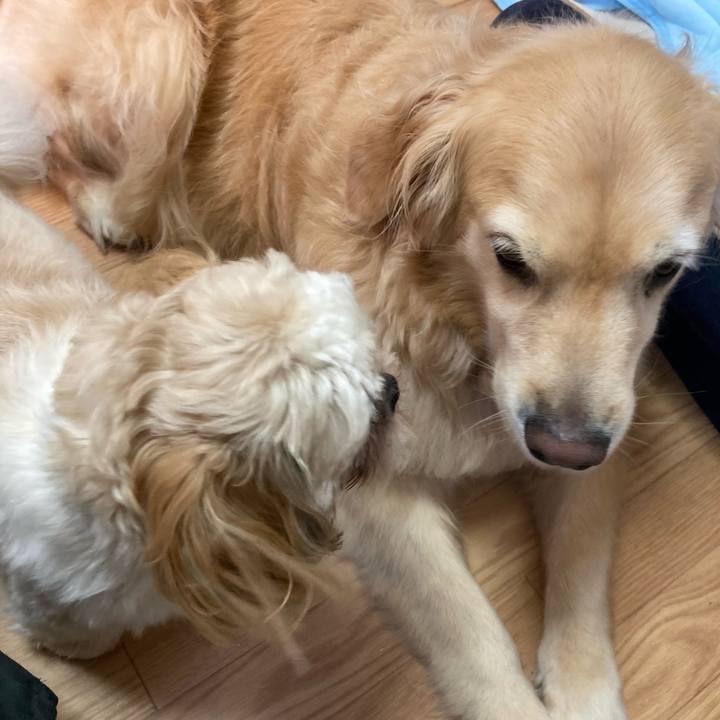 613cb3d9 c72d 4fe3 b88d 9e80975303bf 1695116024542