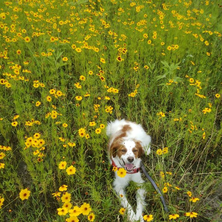 613cb88d 292e 4130 935c d12c41c24c5e 1530014118988